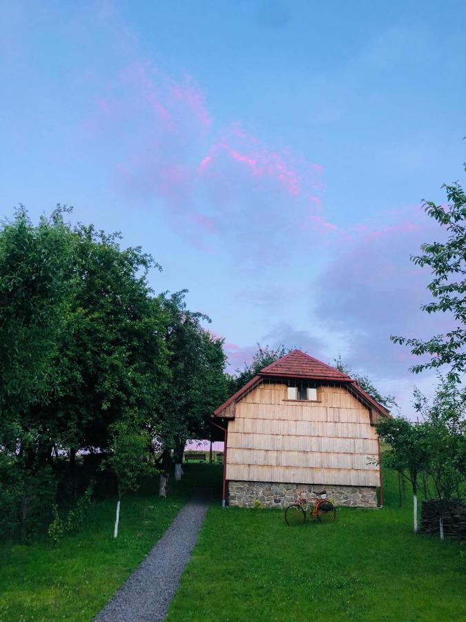 ソロチャイン Еко Дім З Соломиヴィラ エクステリア 写真